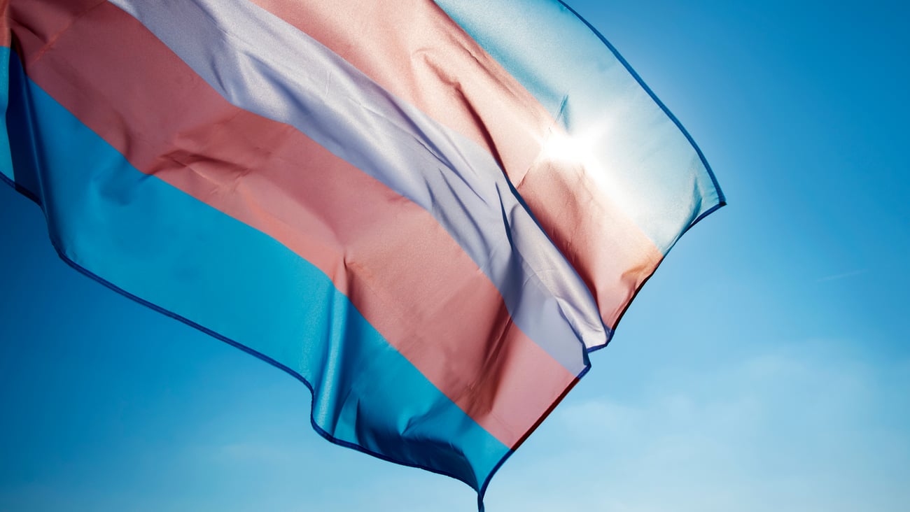 Trans flag