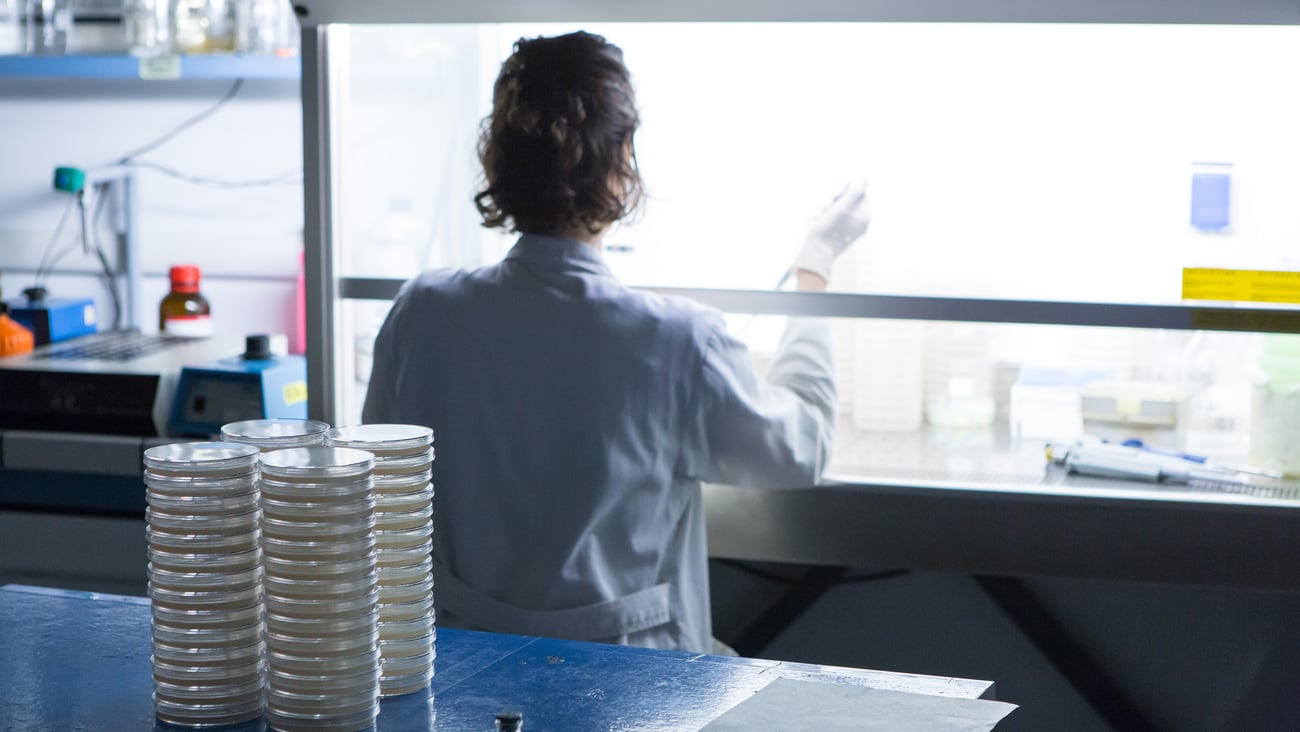 Back of a technician working in compounding lab