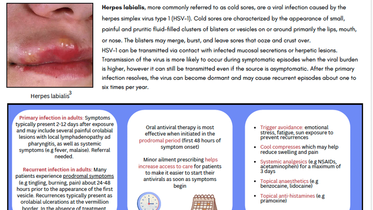 image of minor ailment counselling tool, cold sores