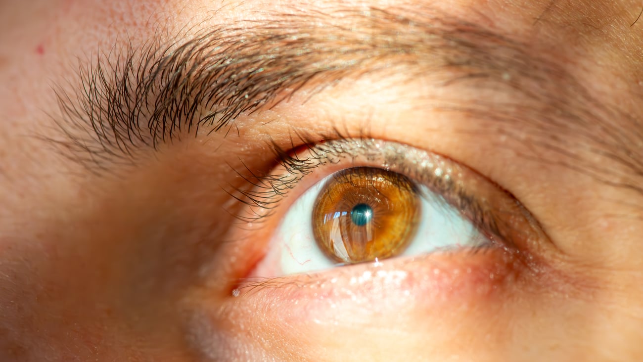 Close up of a brown eye 