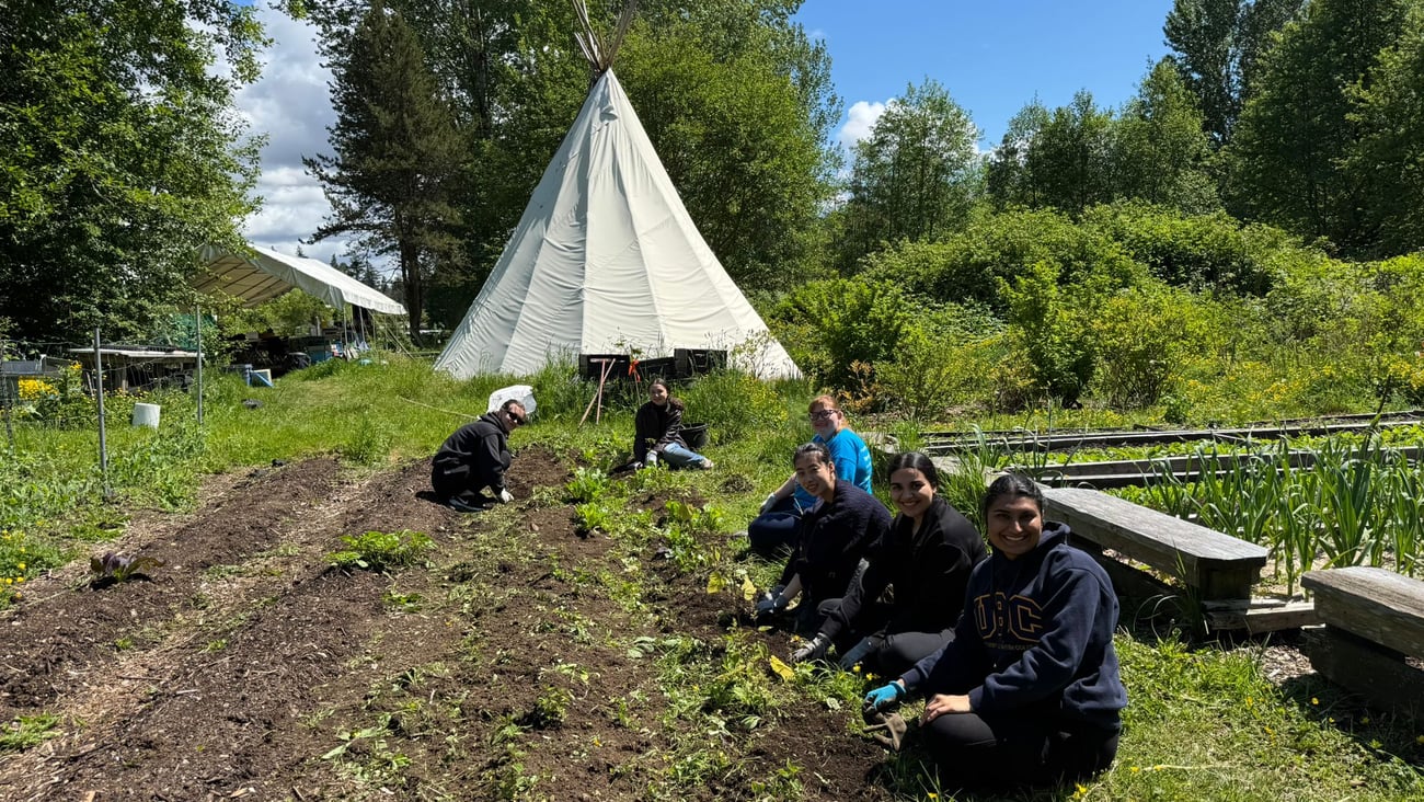 UBC PharmD students working the land in a local Indigenous garden