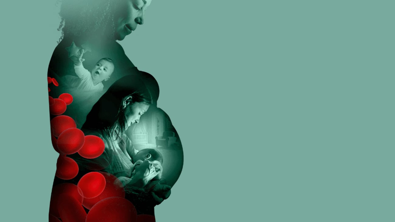 CSL Behring Canada Inc teaser image