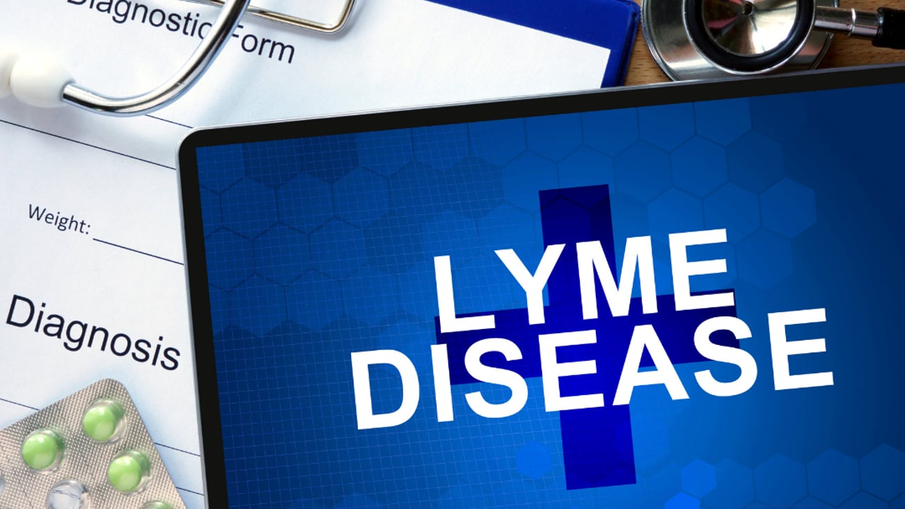 An image of a report on Lyme Disease