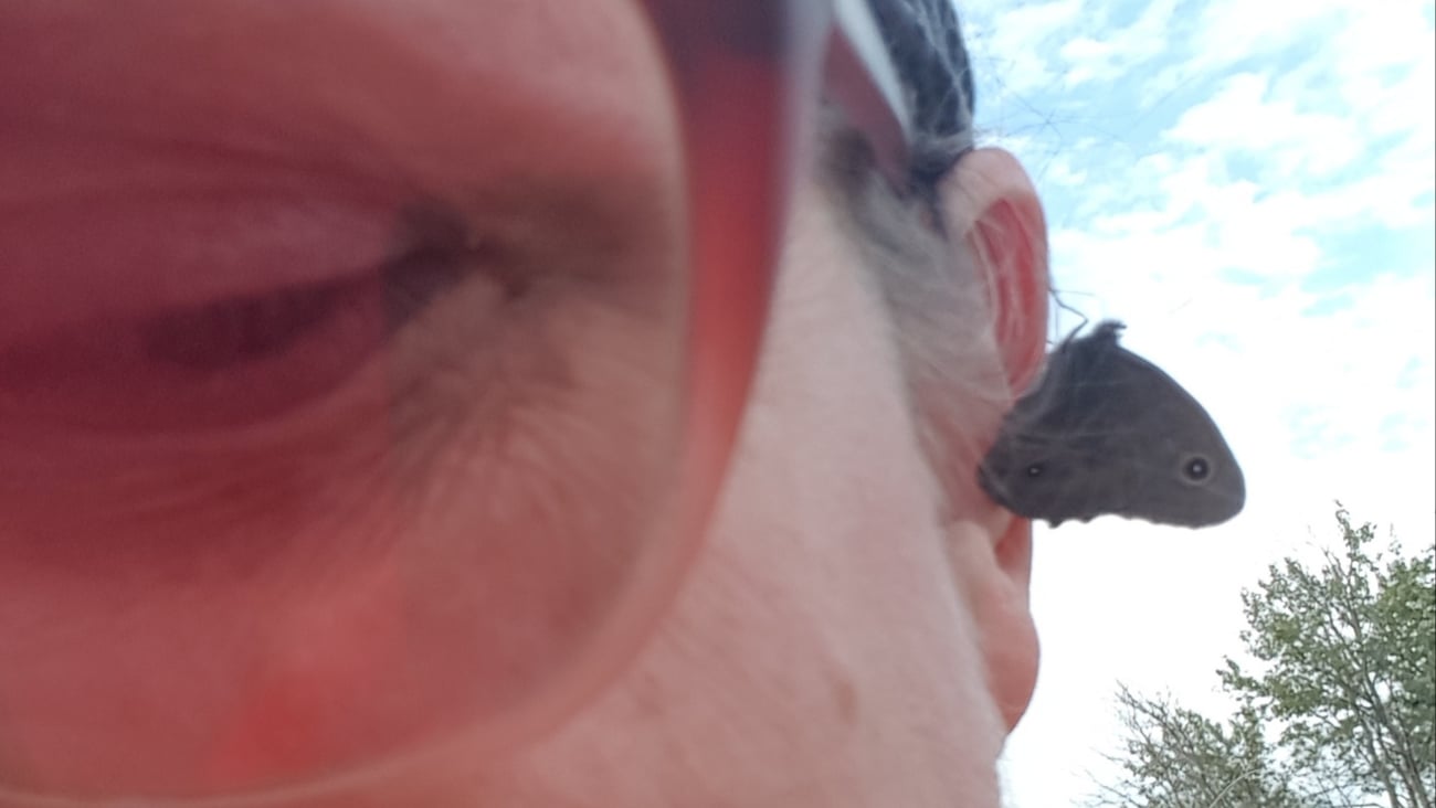 A woman's face with sunglasses, and a butterfly on her ear