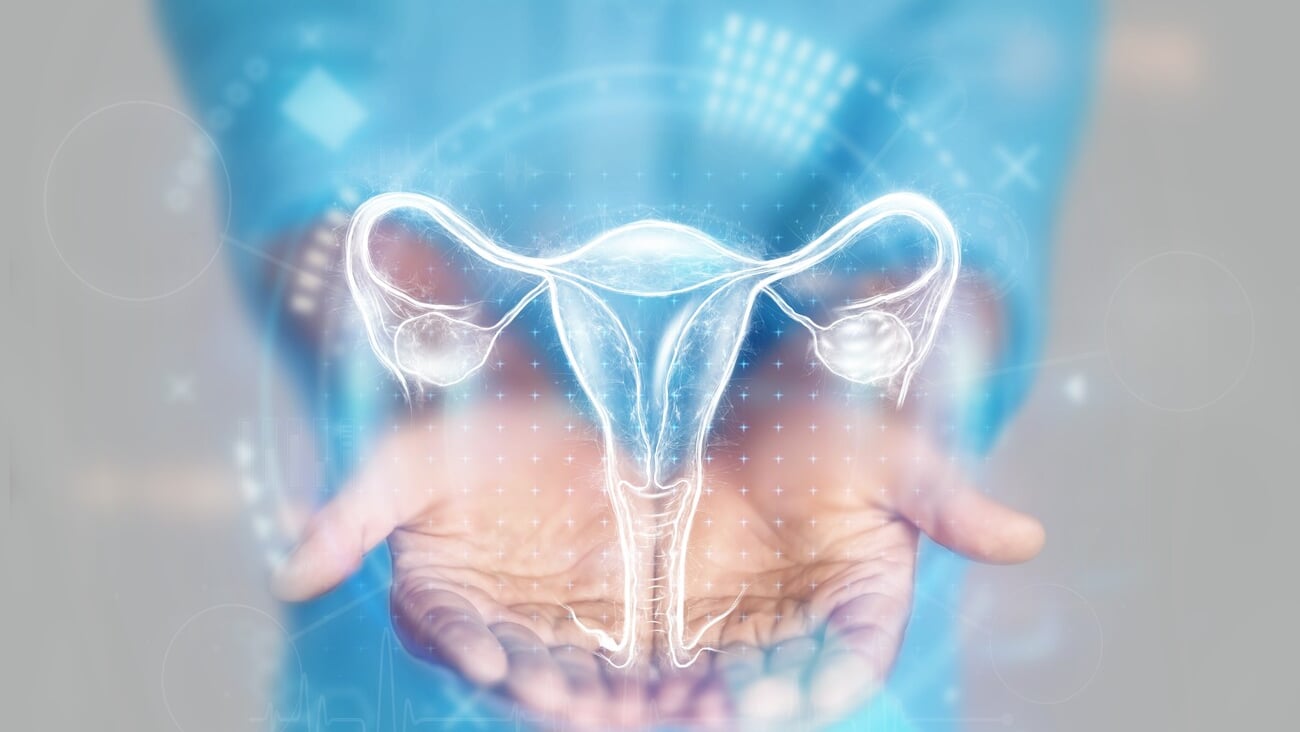 graphic image of a uterus