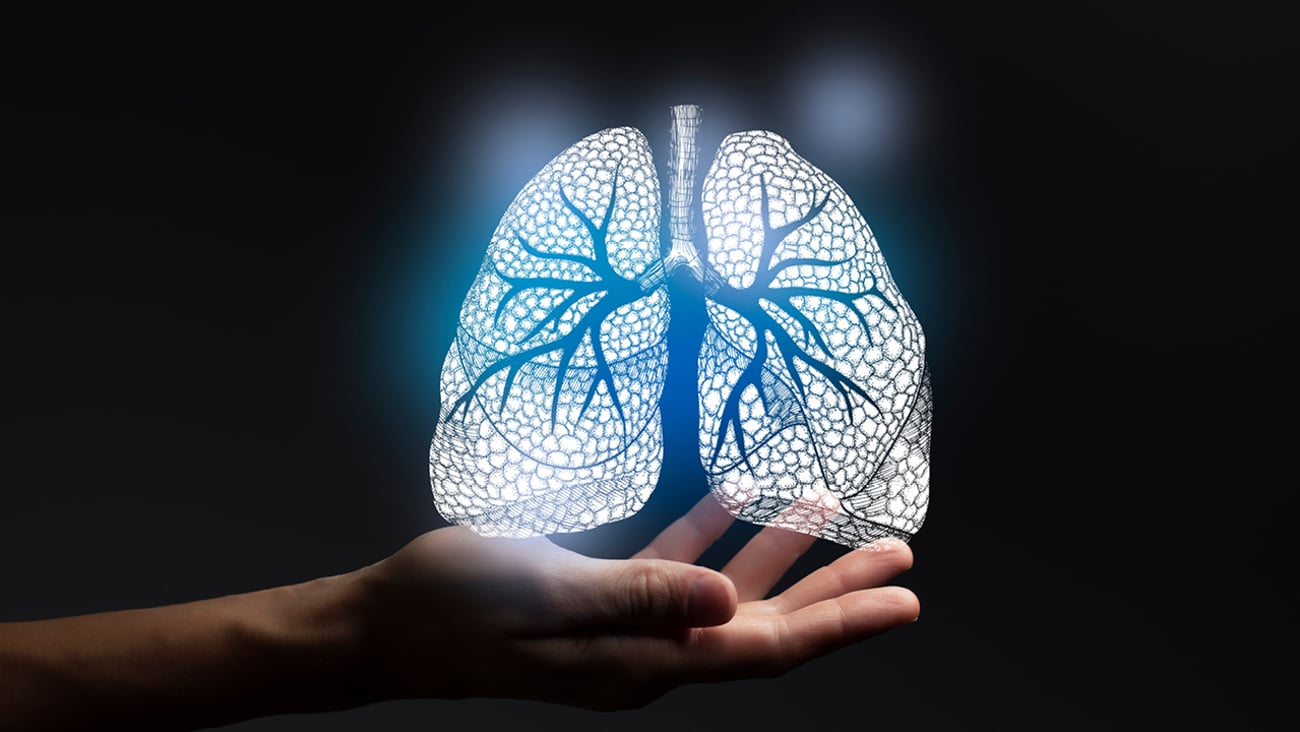 A hand holding to display an image of lungs