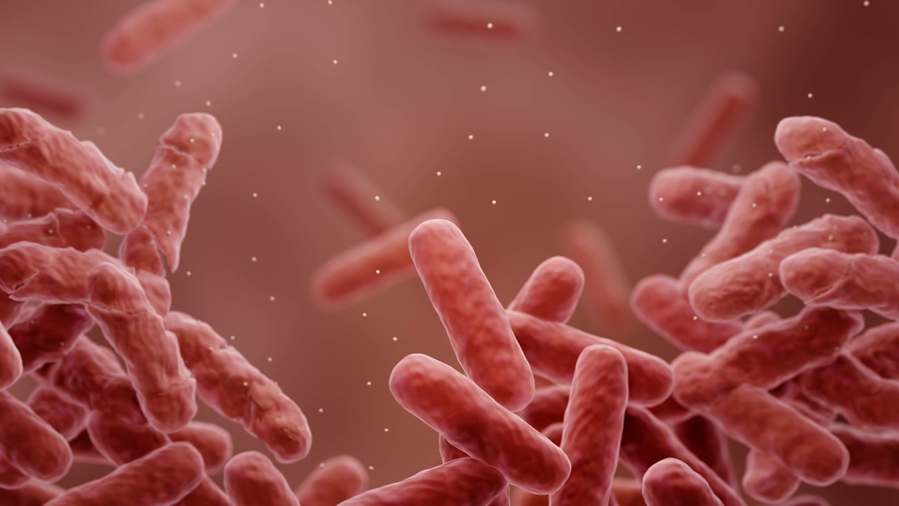 A 3D illustration of bacteria gaining drug resistance.