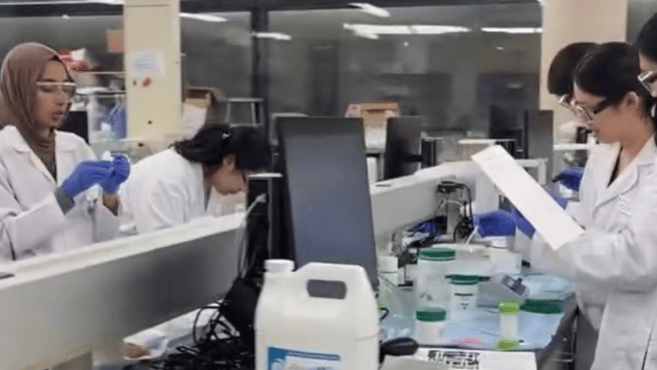 Pharmacy students working in a lab together