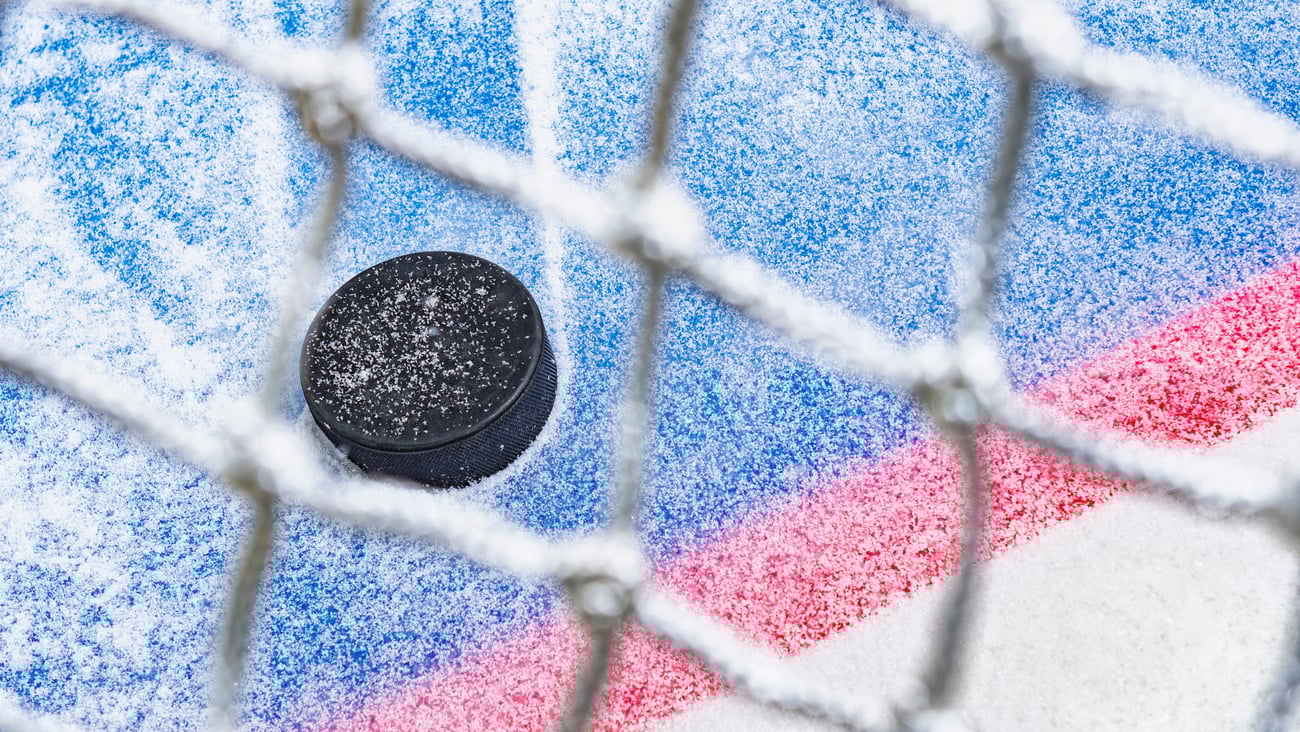 Hocky puck in a net