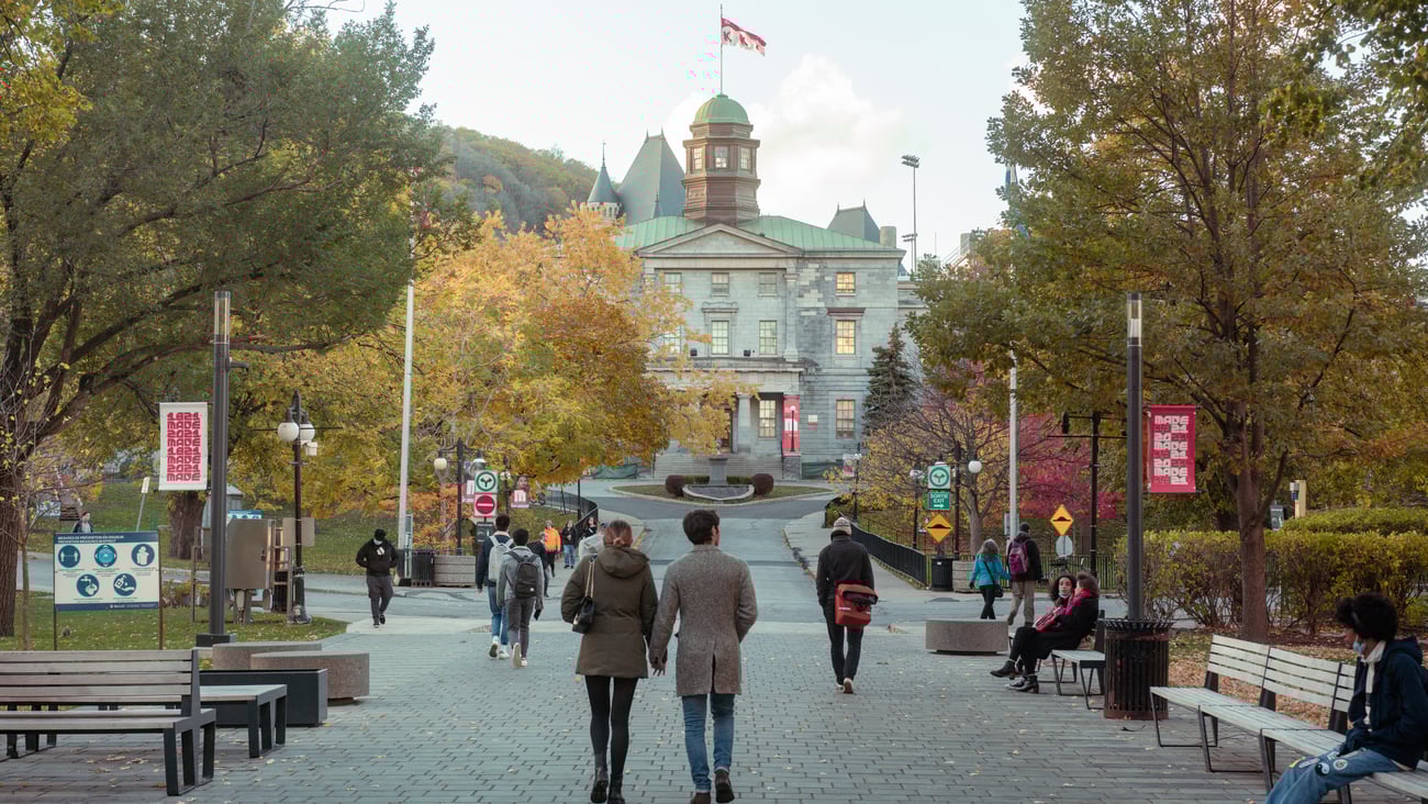 View of McGill University