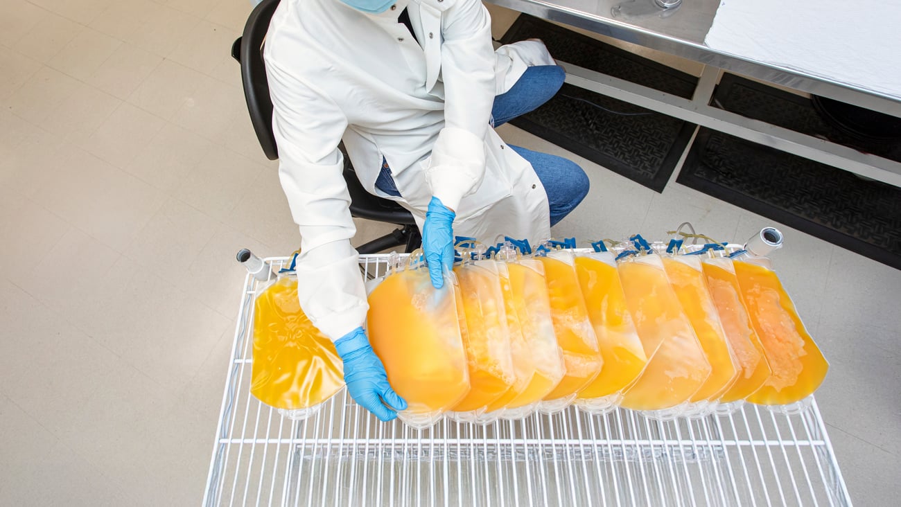 Overhead image of a lab worker handling bags of human plasma.