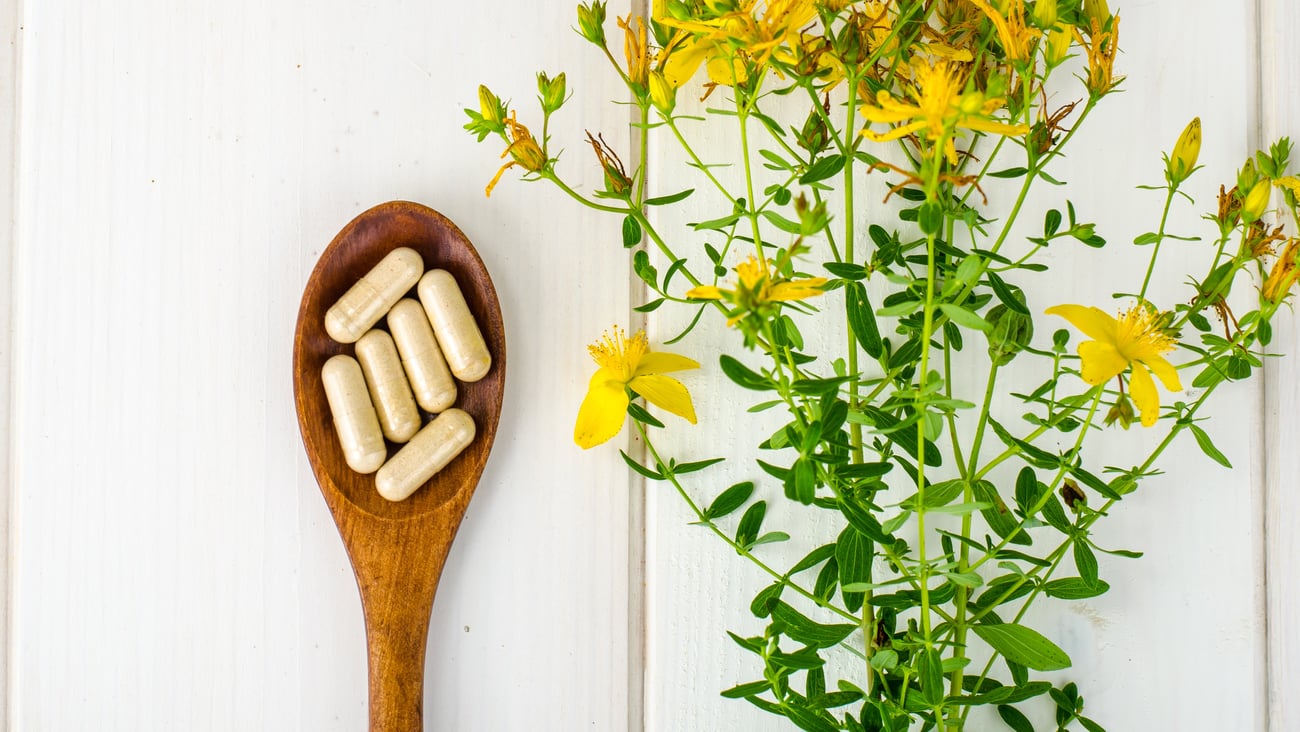St. John's wort plant alongside spoon with capsules