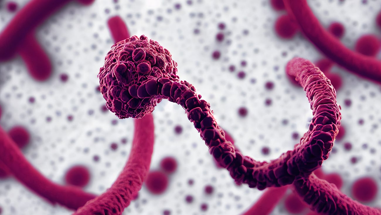A 3D illustration of the Ebola virus.