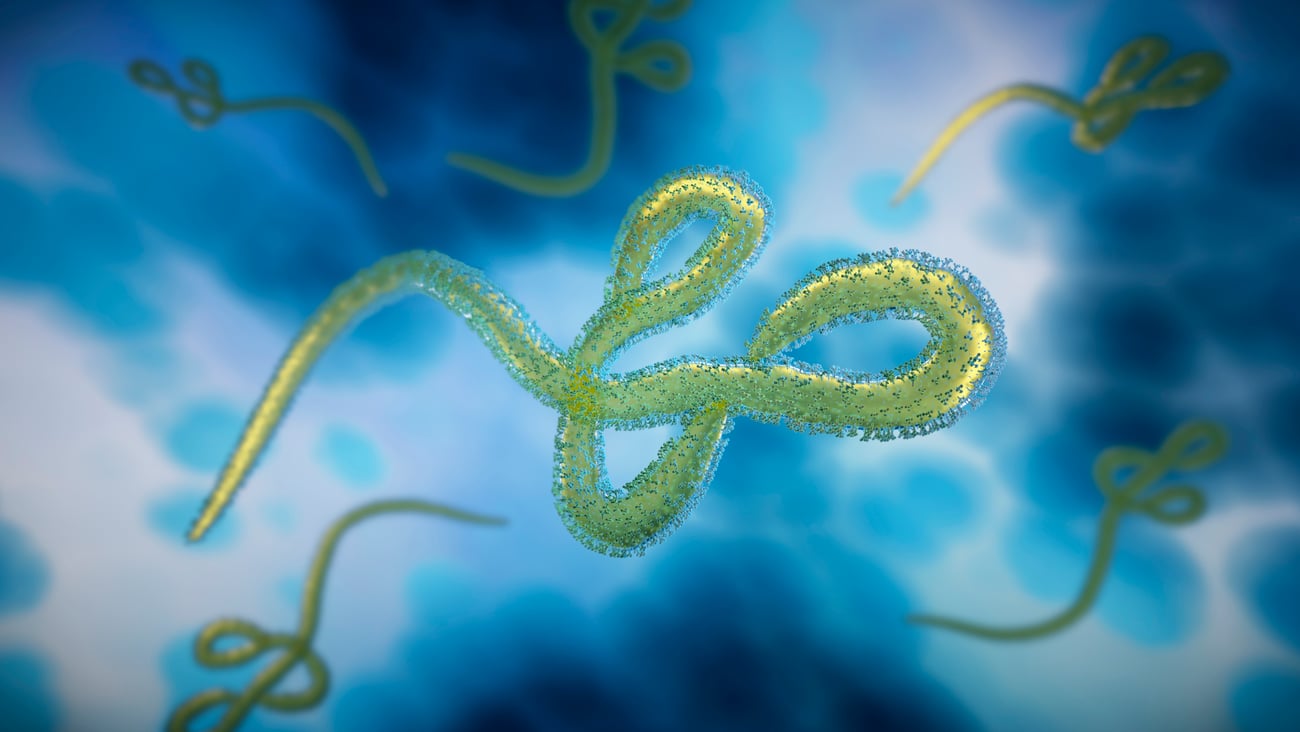 3D imaging of the ebola virus