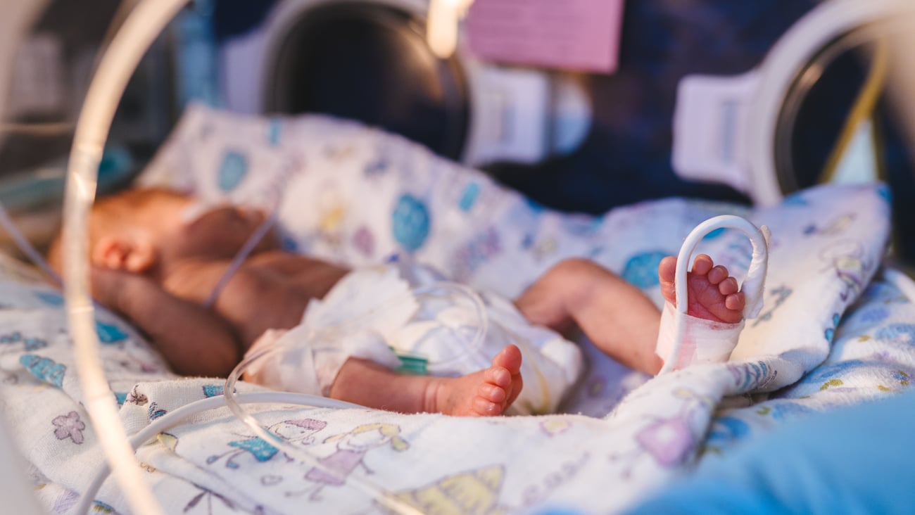 premature baby in incubator
