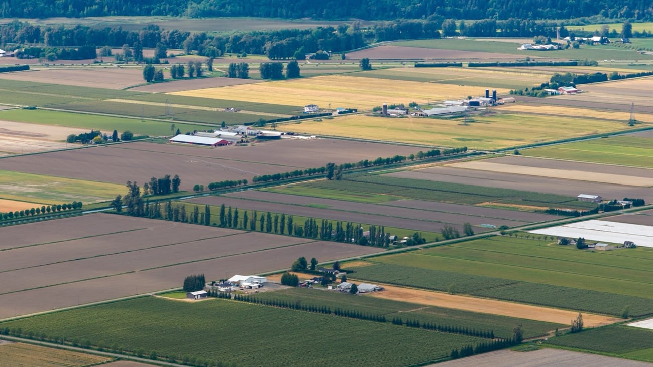 Expansive aerial farmland panorama showing patchwork crop fields, farms, silos and roads near Chilliwack, B.C.