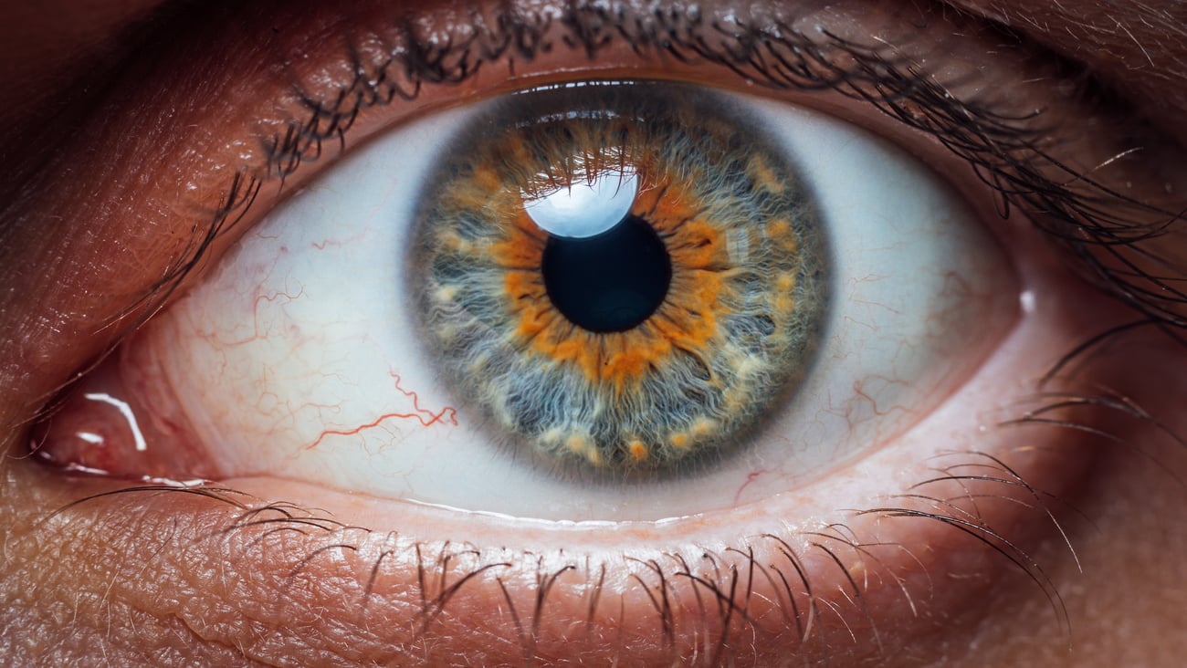 Close up of a young woman's hazel eye