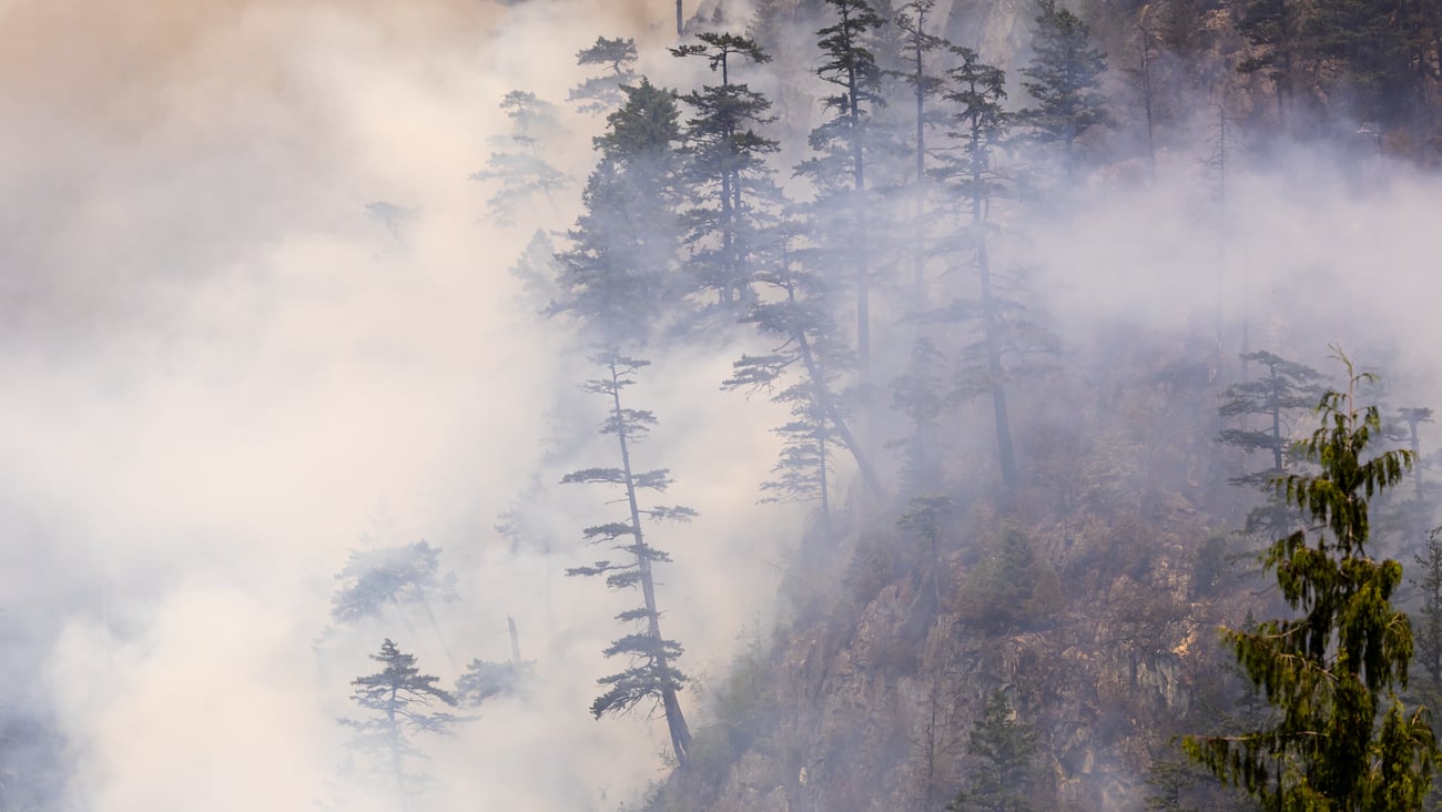 A dramatic scene of wildfire smoke on a forest hill