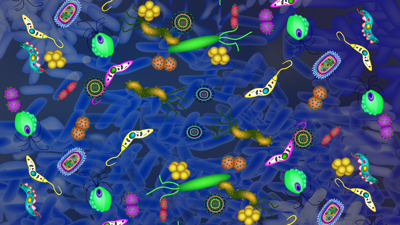 Pathogenic microflora in the intestine background. Dysbacteriosis. Dysbiosis. Killed good bacterium flora. Infographics. Vector illustration.; Shutterstock ID 1286245150