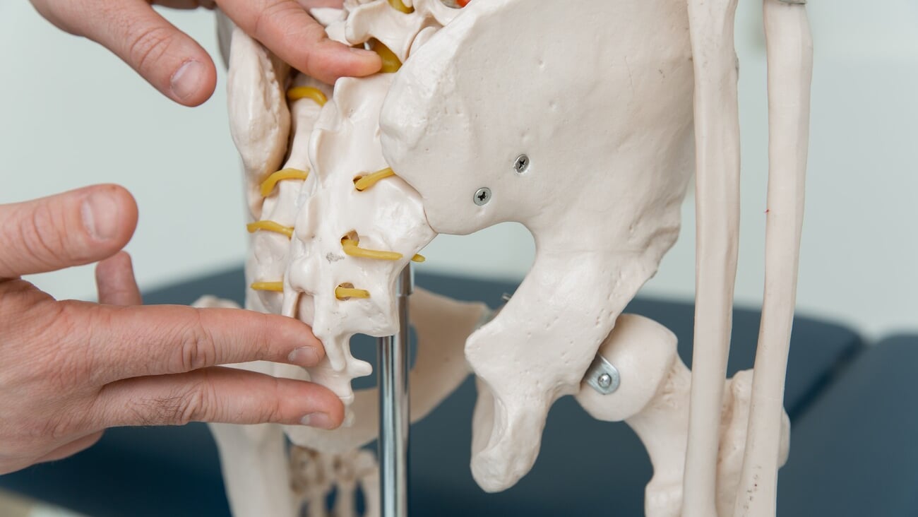 Doctor man pointing on coccyx of human skeleton anatomical model. Physiotherapist explaining joints model. Chiropractor or osteopath points to the skeleton of human body. Bones anatomy close up.; Shutterstock ID 2088364579