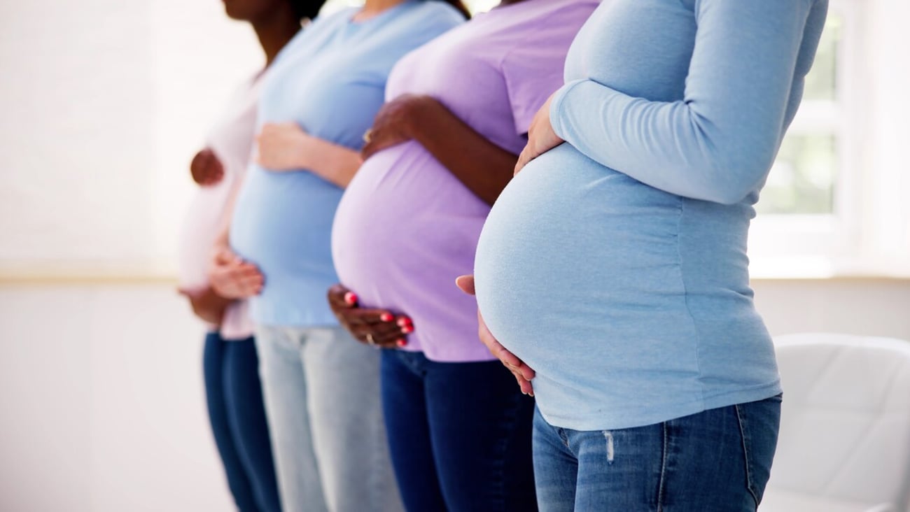 Pregnant Woman Group In Row. Young Mothers; Shutterstock ID 2322441441