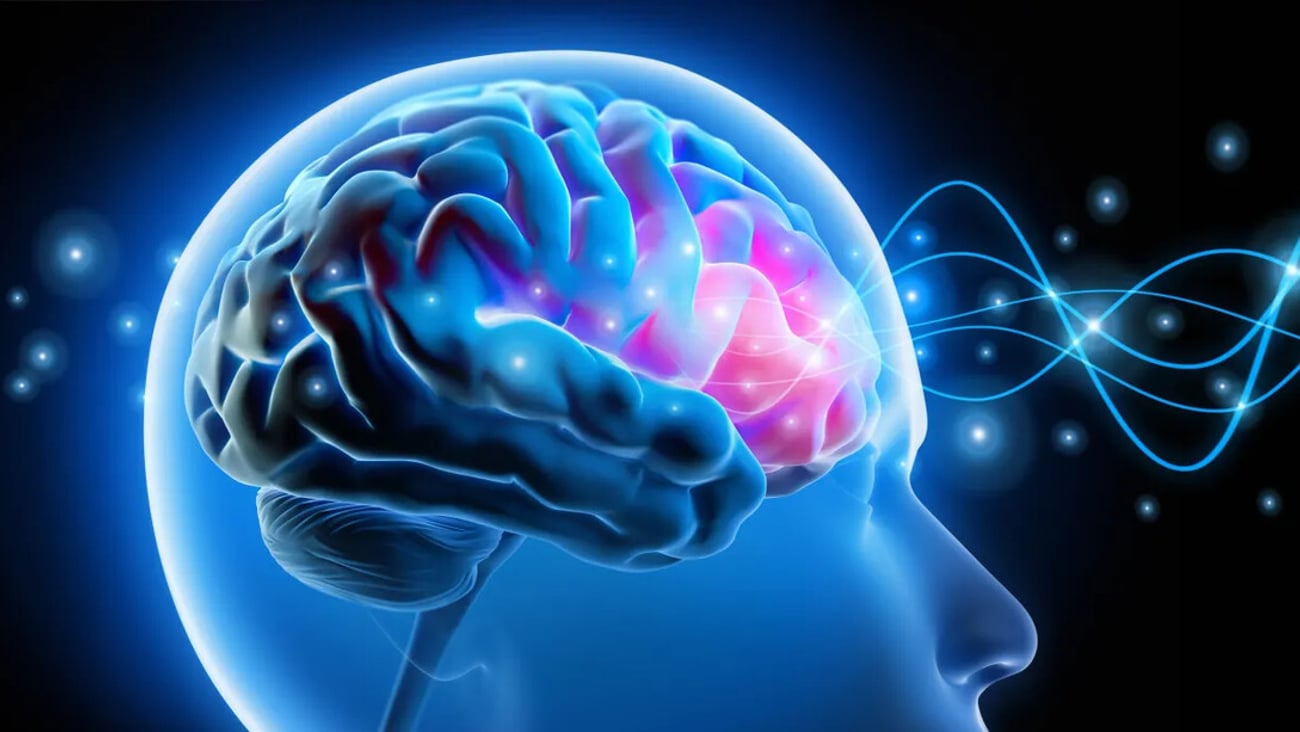 Brain waves - EEG - brain activity - 3D illustration; Shutterstock ID 2591130319
