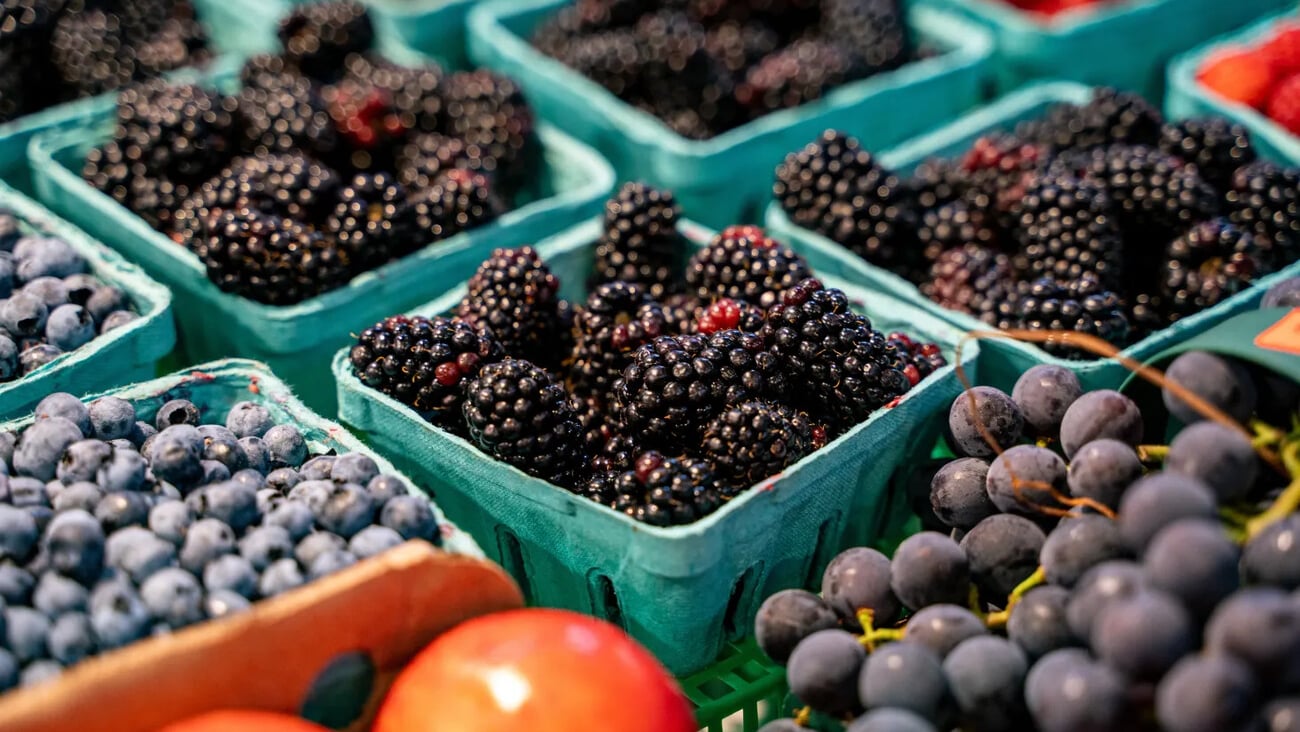 View of blackberries in grocery store.; Shutterstock ID 2666856559