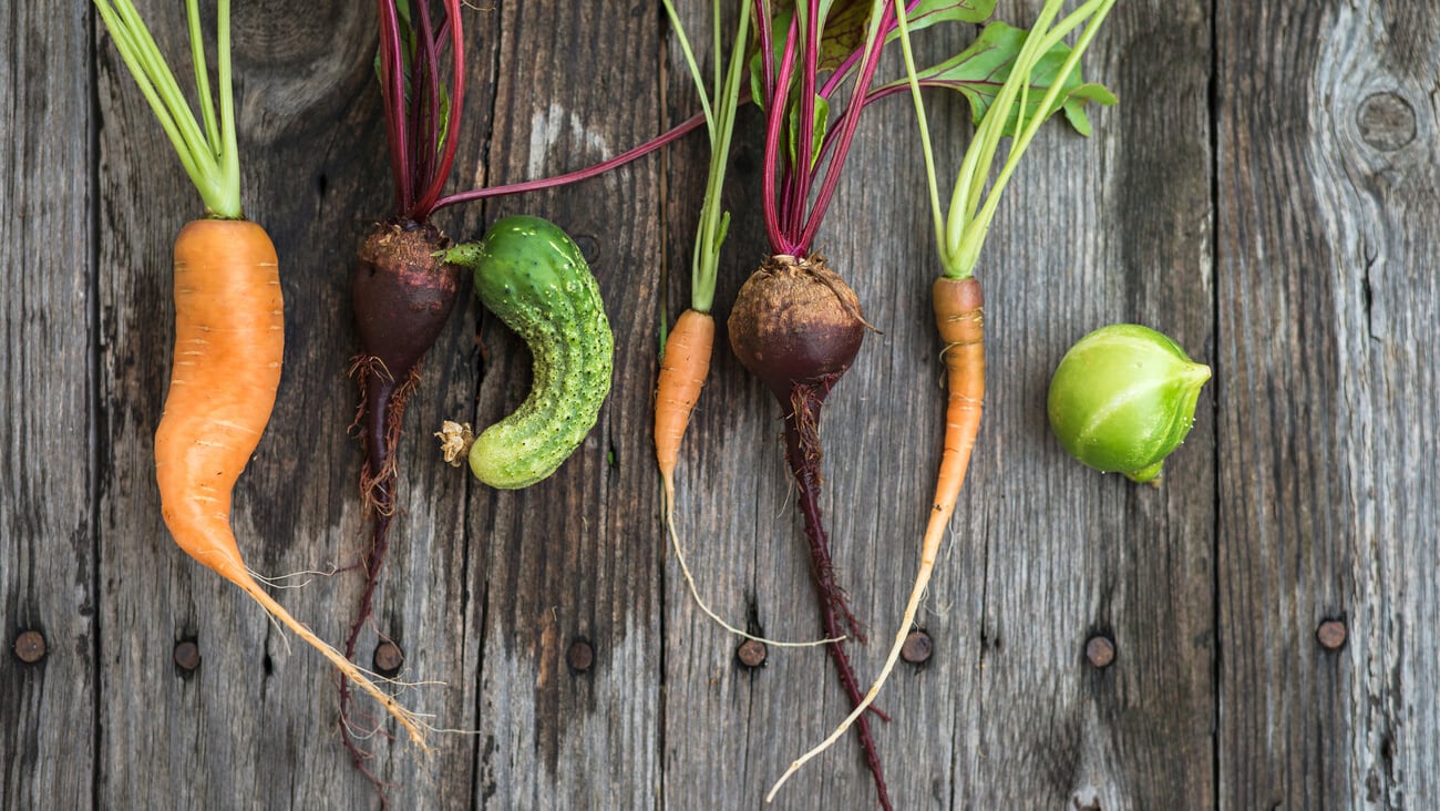 Trendy ugly organic carrot, beetroot and cucumber from home garden; Shutterstock ID 383006851