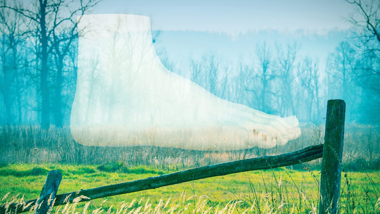 A drawing of a foot fading into the background of a rural landscape