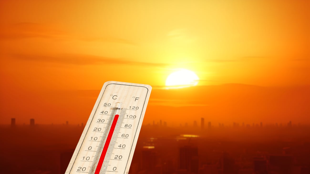 A thermometer is seen in front of a city in the middle of a heatwave.