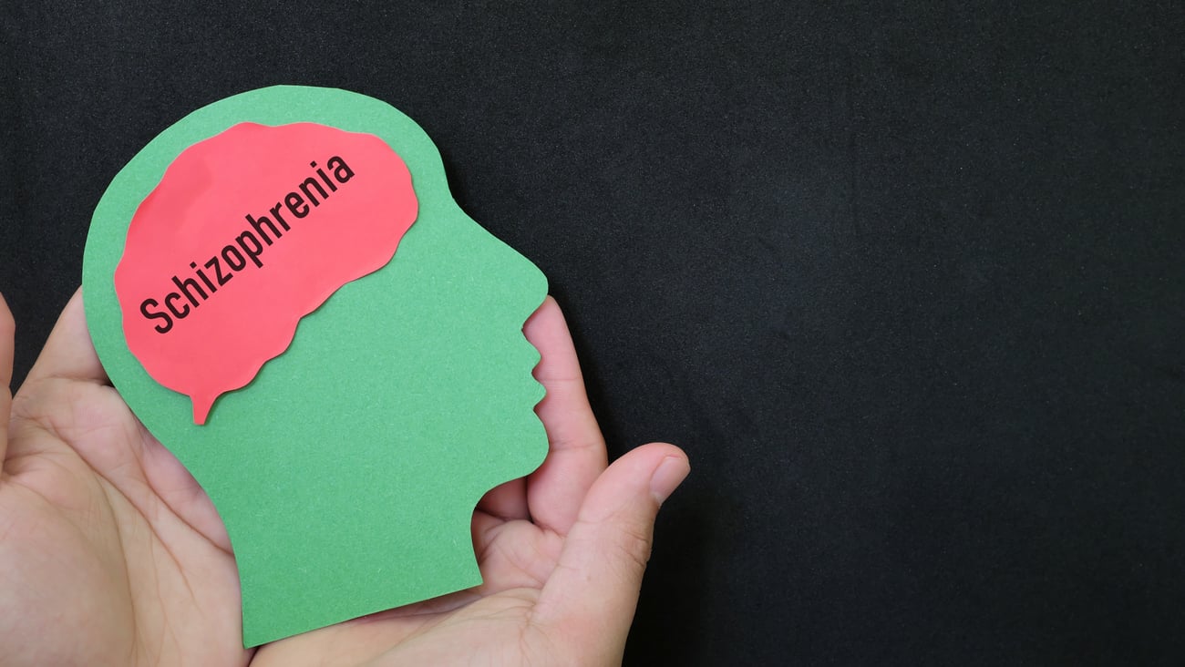 cardboard cutout of head with word "schizophrenia" written in brain area