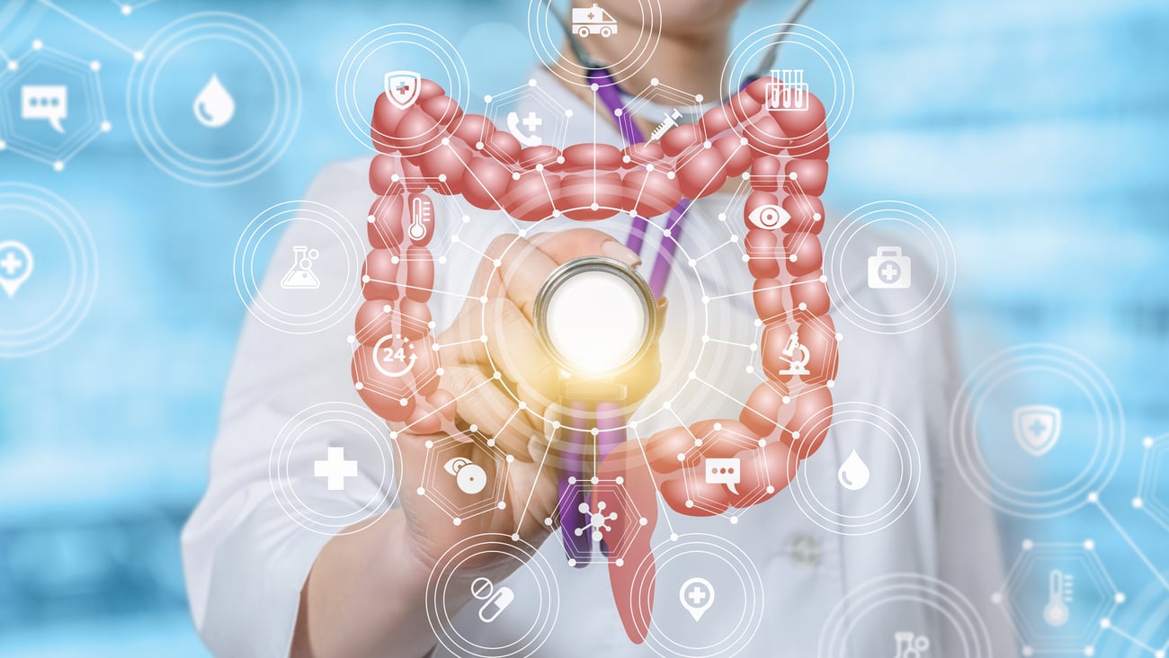 A closeup of a female doctor touching the medical service structure of icons and symbols with an intestines model at the foreground.