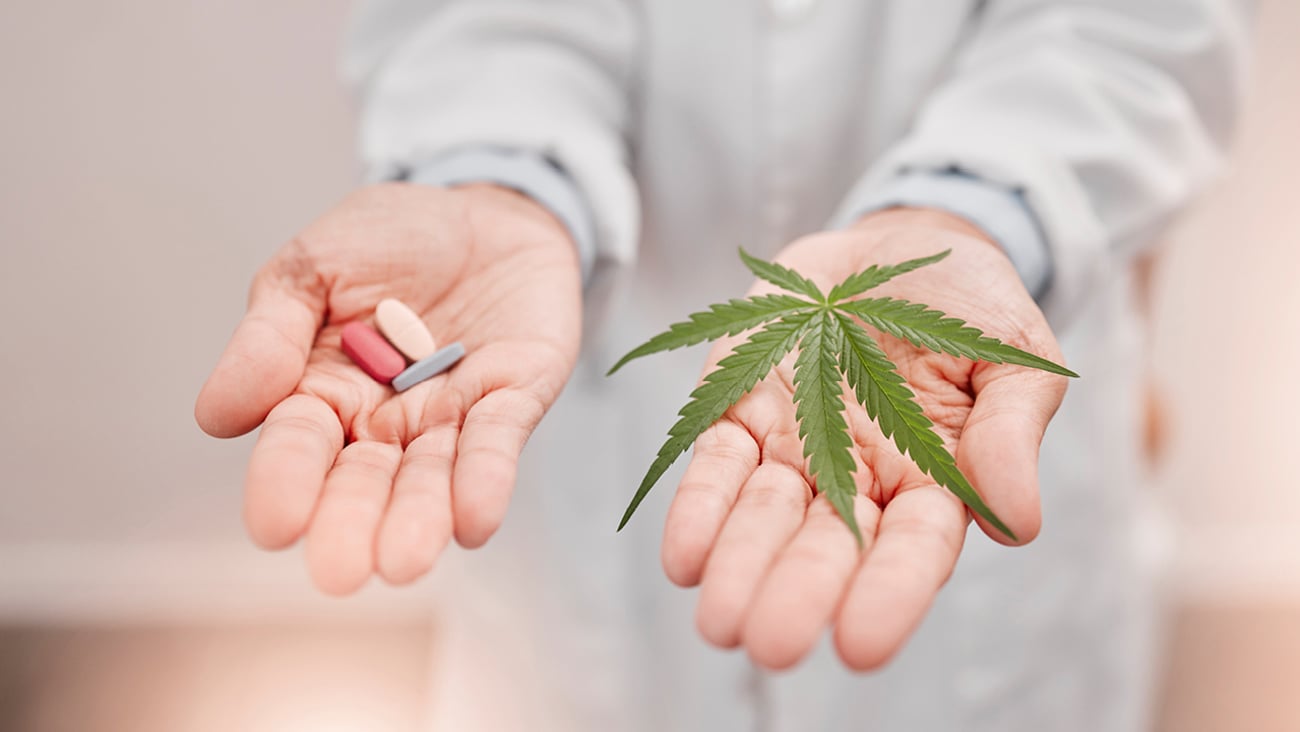 Woman's hands holding a cannabis leaf and a pile of pills in each hand