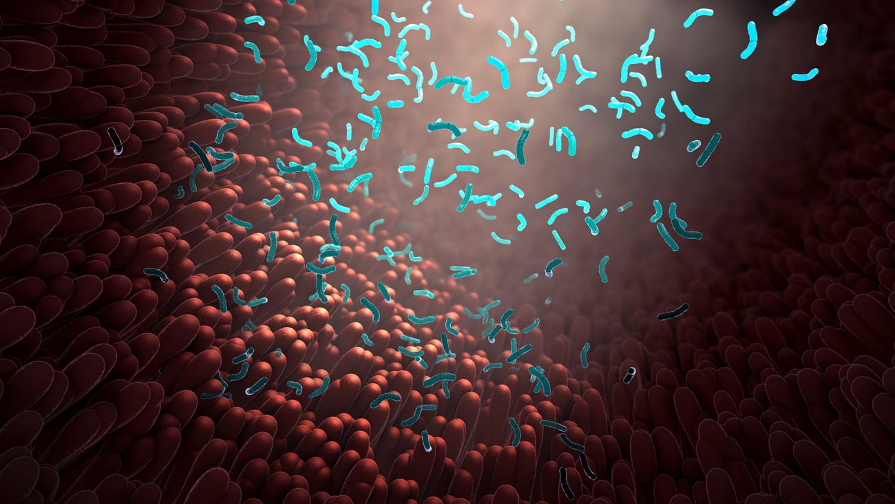 3-D illustration of but microbiome in different colours