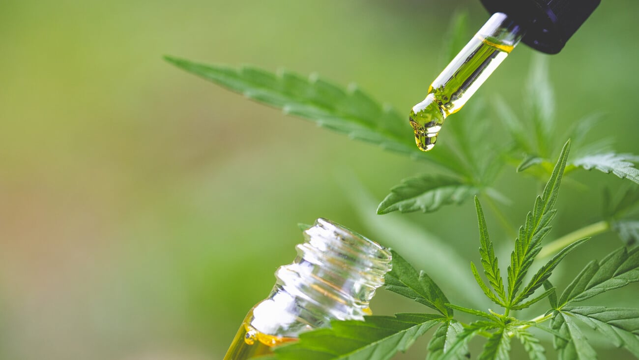 CBD hemp oil, Hand holding bottle of Cannabis oil in pipette ; Shutterstock ID 1478305652