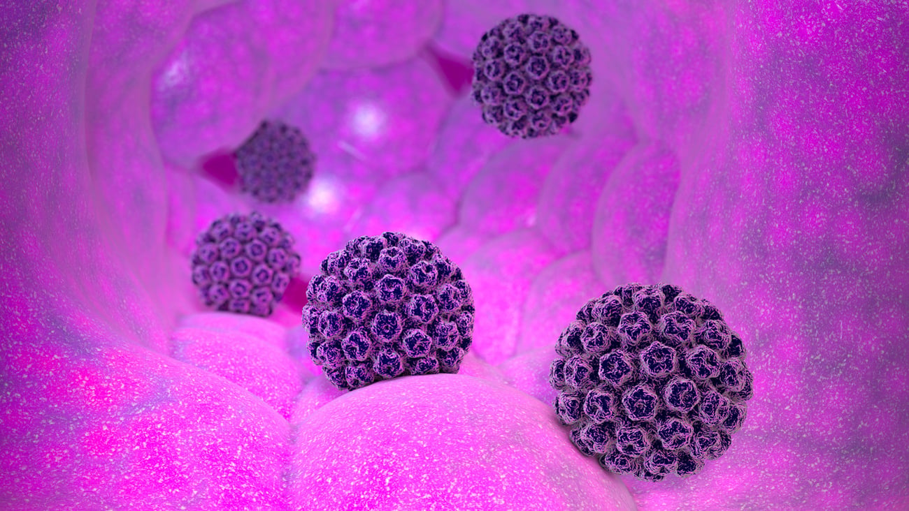 Human papillomavirus infection. Virus. HPV is the most common sexually transmitted infection globally. HPV infection is caused by human papillomavirus, a DNA virus, 3d rendering; Shutterstock ID 1214814547