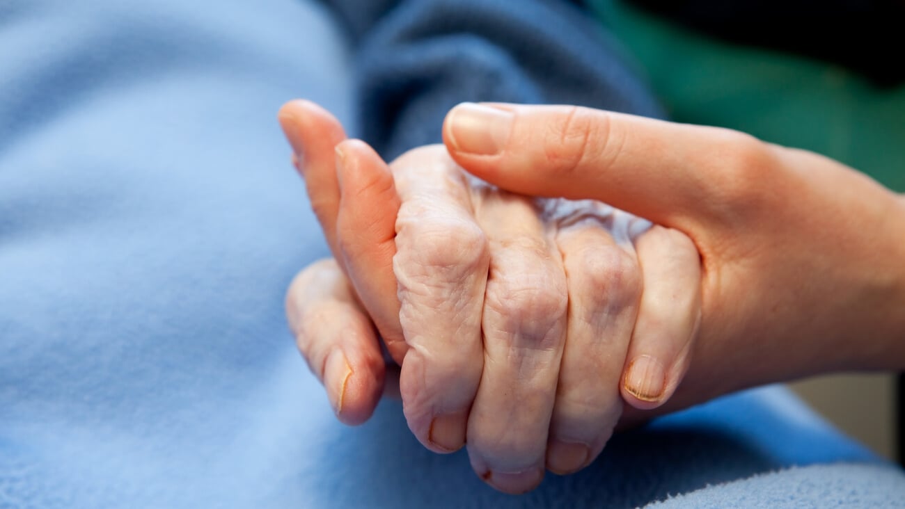 A young hand touches and holds an old wrinkled hand; Shutterstock ID 53417668