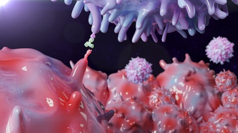 A 3D rendering of an antibody blocking a receptor on a T cell so a cancer cell can't bind to it