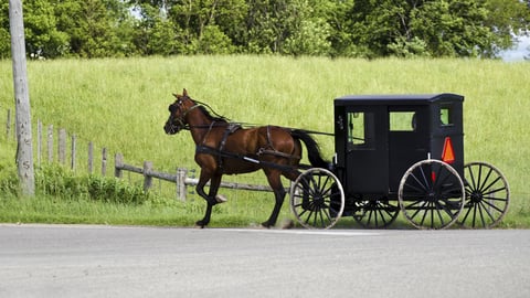 a man riding a horse drawn carriage