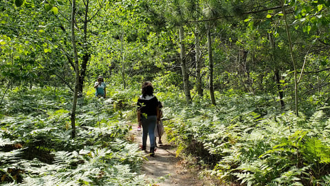 a family walks on a forest hiking train in Manitoba surrounded by green undergrowth and green deciduous trees