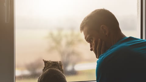 man and cat looking out window