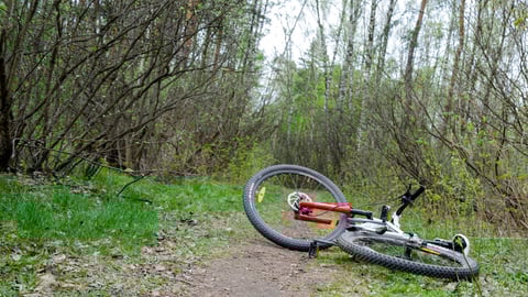 a bicycle is parked next to a tree