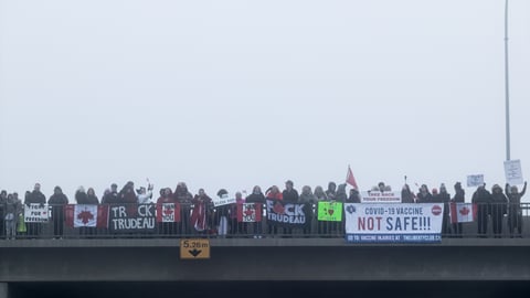 Protesters standing over highway bypass with signs