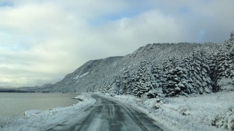 A snowy road in Newfoundland