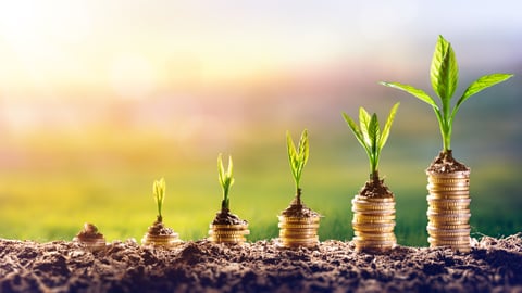 growing-plants-investing