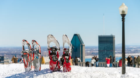 Snow shoes sticking out of the snow in a city park