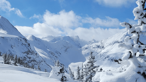 Snow covered landscape