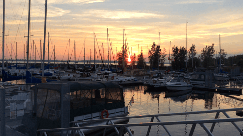 Boats in a harbour at sunset