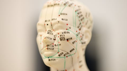 Plastic head showing pressure points