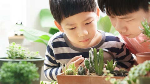 two young Asian children looking at plants